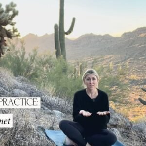 Hand Magnet Meditation