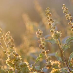 Light Boundaries Class